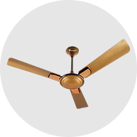 Ceiling Fan